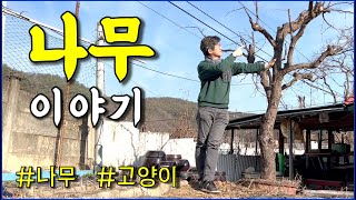 나무 이야기 / 어떤 나무가 있고, 어떤 나무를 심을 계획인가요? / countryside, gardening, countryhouse