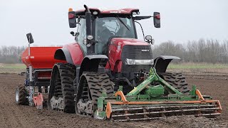 Case Puma 240 cvx on Soucy Tracks Planting Onions with Deltaplanter | Uien planten | De Nood