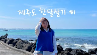 제주도한달살기1| 제주도 도착| 제주여행브이로그