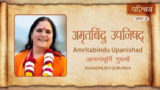 अमृतबिंदु उपनिषद् - परिचय भाग 3 | आनन्दमूर्ति गुरुमाँ | Amritabindu Upanishad - Introduction Part 3