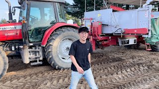 【トラクター】マッセイファーガソン MF5465 TOP1 じゃがいも収穫【tractor】Massey Ferguson#Shorts