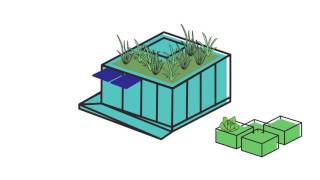 16. Biodiversity