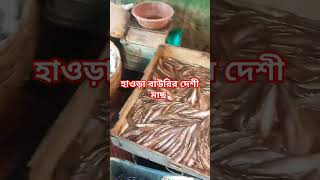 how to on হাওর বাবরের দেশি মাছের ভিডিও#youtubeshorts #netfish #fishcutting