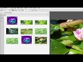 PDF Tutorial- How to create PDF slide show presentation by using adobe acrobat pro 2017 PDF Tutorial- How to create PDF slide show presentation by using adobe acrobat pro 2017