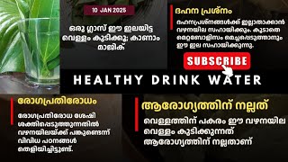 വാഴനായില |𝗕𝗲𝗻𝗶𝗳𝗶𝘁𝘀| ഇത് കുടിക്കാണെങ്കിൽ ആരോഗ്യം മെച്ചപ്പെടും |𝗛𝗘𝗔𝗟𝗧𝗛𝗬|