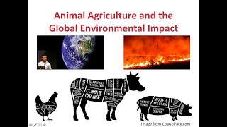 The Earth is on Fire: Animal Agriculture and the Global Ecological Impact - Dr. Tushar Mehta