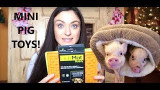 Mini Pig Toys - What To Buy Your Pig For Christmas