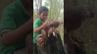 A boy walks in the forest and sees a ripe animal lifting a tree trunk.part5#shorts #birds #wildlife