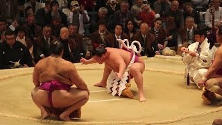 2016 大相撲 大阪場所 鶴竜 日馬富士 白鵬 3横綱土俵入り！