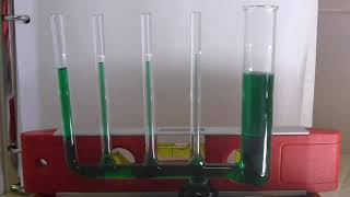 BI 112 (and BI 101) Capillary Action Experiment