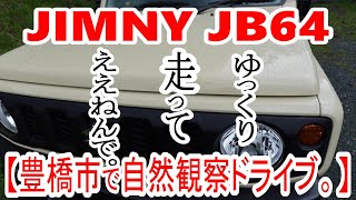 【JIMNY JB64】ゆっくり走ってええねんで。豊橋市で自然観察ドライブ。【ジムニー】