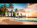 Sri Lanka's Hidden Beaches: A Paradise Unveiled by The Travellin' Philosopher