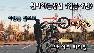 [입문자편] 바이크 윌리하는방법 공개 이대로만 꾸준히 하면 됩니다.