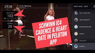 Schwinn IC4 Cadence & Heart Rate in Peloton App Tutorial