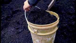 Free Compost for Your Landscaping Needs