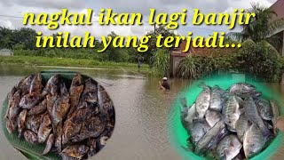 nagkul ikan di saat lagi banjir dapat banyak langsung bakar di tempat 🚩🚩📍mantap‼️