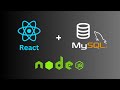 How to Connect React JS With MySQL Database using Node.JS/Express.js
