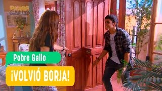 Pobre Gallo - Andrea y Borja Capítulo 95