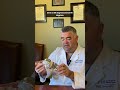 rosa knee replacement dr. jason lowry