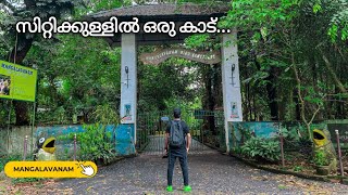 സിറ്റിക്കുള്ളിൽ ഒരു കാട് | Mangalavanam Bird Sanctuary | Ernakulam | Travelogue