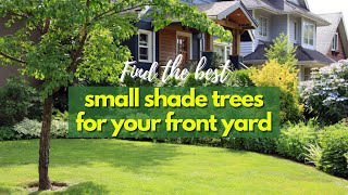 6 Best Small Shade Trees for your Front Yard 🌳✅