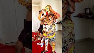 Lion and Tiger - pulikali - 9884436365