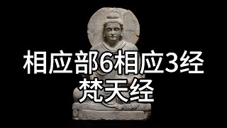 相应部6相应3经 梵天经，中文白话翻译。（168）