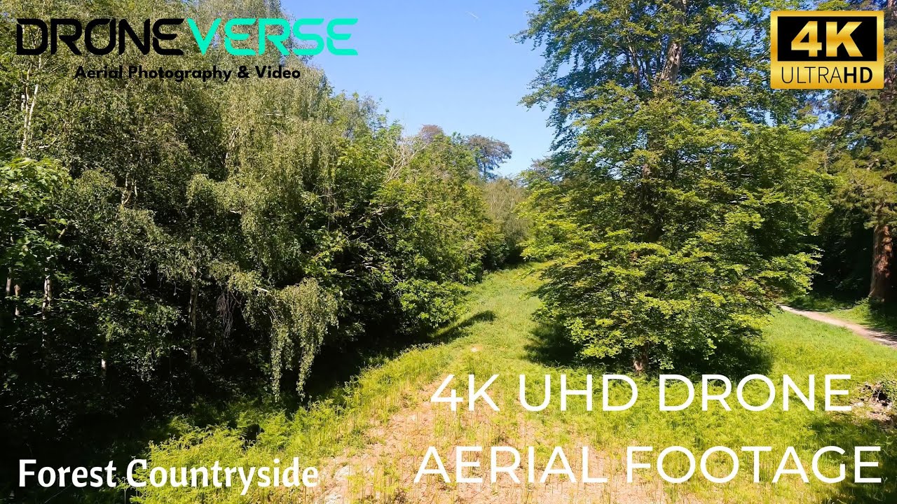 Drone Footage Forest Countryside 4k 60fps Youtube