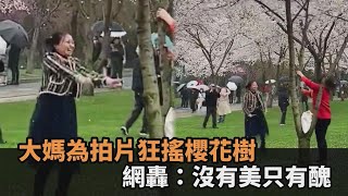 為了拍抖音！中國大媽「狂搖、摧殘櫻花樹」　網怒轟：沒有美只有醜陋－全民話燒