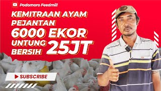 VLOG #23 || KEMITRAAN AYAM PEJANTAN 6.000 EKOR UNTUNG BERSIH 25 JT