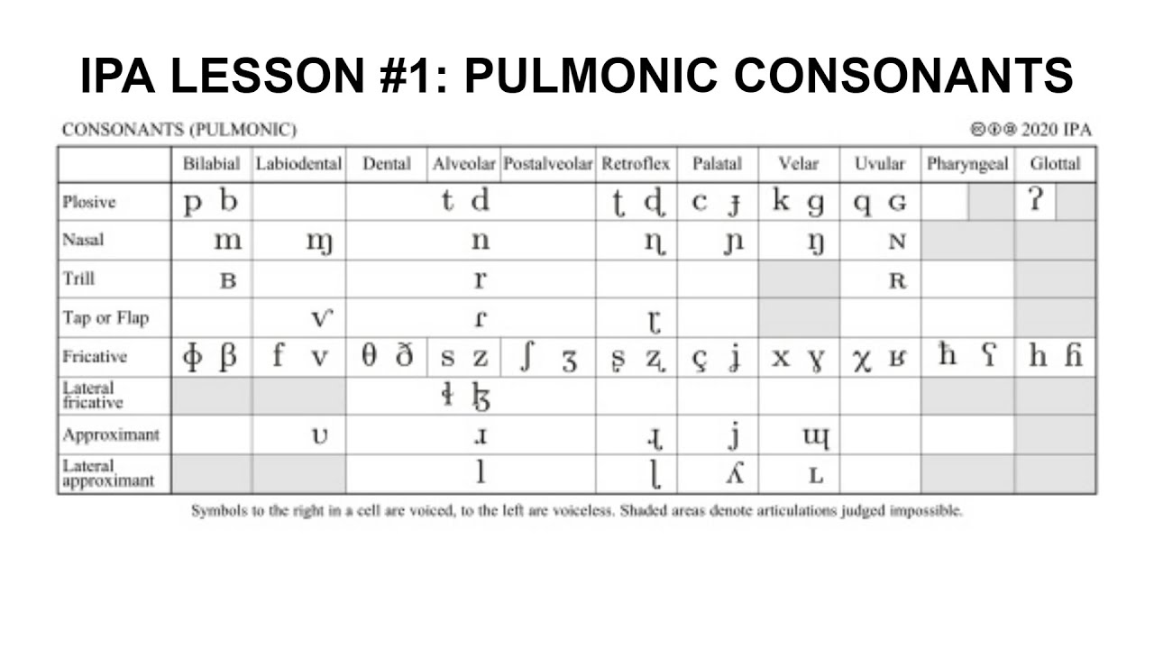 IPA Lesson #1: Pulmonic Consonants - YouTube