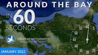 Around the Bay in 60 Seconds—January 2022