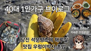 40대1인가구브이로그 평일쉬는날 석문방조제해루질 당진맛집혼밥(우렁이박사)