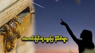 ကံကောင်းခြင်းရဲ့ ရှေ့ပြေး နိမိတ်များ