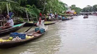 পেয়ারা বাগান ভাসমান ঝালকাঠি ভীমরুলি ||peyara bagan jhalokathi #vairalvideo