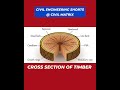 CIVIL ENGINEERING SHORTS | CROSS SECTION OF TIMBER | CIVIL MATRIX | #civilengineering #shorts