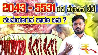 2043 - 5531 ಮೆಣಸಿನ ರಕ ಬೆಲೆ ಕಡಿಮೆಯಾಗುವ ಕಾರಣ ಏನು  #chilli #market #todayrate #byadigi #prices #today