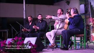 Alfredo Tejada, 51º Festival de Arte Flamenco de Pegalajar, Jaén