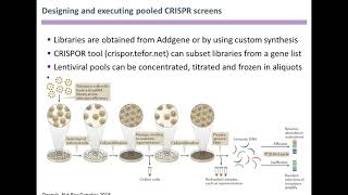 Genome-wide CRISPR Screens in Primary Human T Cells Reveal Key Regulators of Immune Function