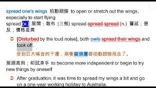 spread one's wings 拍動翅膀；展翅高飛；初試身手