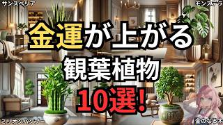 金運の上がる観葉植物10選！風水で選ぶ最強の観葉植物、金運を引き寄せるインテリアの秘密