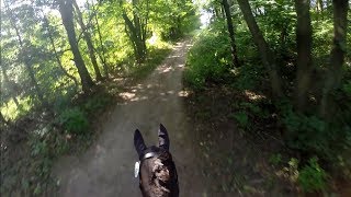 Caledon HT 2017 Entry Cross Country Helmet Cam