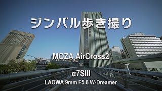 ジンバル歩き撮り〜神戸三宮/ハーバーランド/南京町 〜 | MOZA AirCross2 | α7SIII | LAOWA 9mm F5.6 W-Dreamer