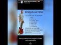 Benjamin Matsena  Zvifambiso