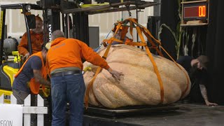 GIANT PUMPKIN REGATTA (pt 1) - WEIGH-OFF