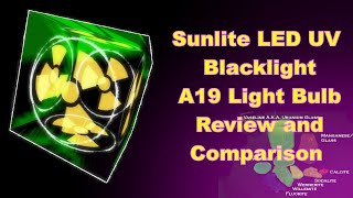 Sunlite LED UV Blacklight A19 Light Bulb Review and Comparison