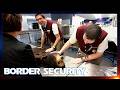 Border Security Australia 1.5 Hour Marathon | Season 6: Episodes 5 - 8