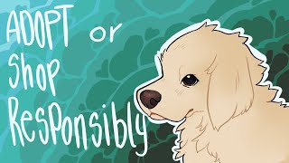 Ethical Breeders VS Adopt Don’t Shop