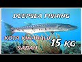 EP023( strikes barracuda (deepsea fishing  kota kinabalu sabah ( captain black) #sabahan #fishing