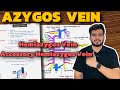 Azygos Vein Anatomy | Hemiazygos Vein | Accessory Hemiazygos Vein